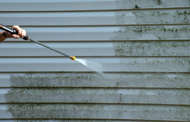 Best Roof Pressure Washing  in Olcott, NY