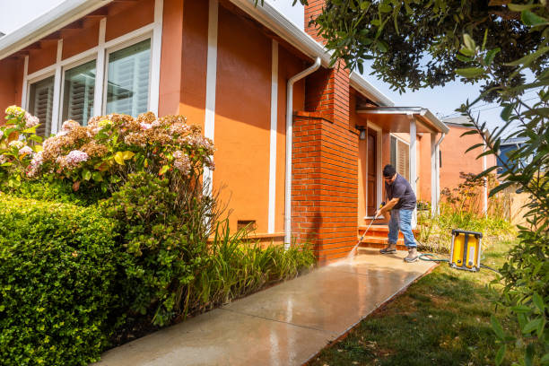 Best House Pressure Washing  in Olcott, NY
